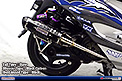Tail Type：Euro / Silencer Type：Black Carbon / Heat Guard Type：Black