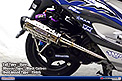 Tail Type：Euro / Silencer Type：Black Carbon / Heat Guard Type：Polish