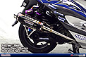 Tail Type：Slash / Silencer Type：Titanium / Heat Guard Type：Black