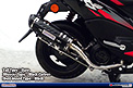 Tail Type：Euro / Silencer Type：Black Carbon / Heat Guard Type：Black