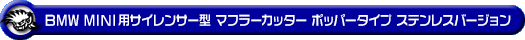 BMW MINI【R60 Crossover Cooper S/Cooper SD・R61 Paceman Cooper S】(左右2本出し仕様)用サイレンサー型 マフラーカッター ポッパータイプ ステンレスバージョン