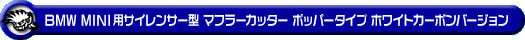 BMW MINI【R60 Crossover Cooper S/Cooper SD・R61 Paceman Cooper S】（左右2本出し仕様）用サイレンサー型 マフラーカッター ポッパータイプ ホワイトカーボンバージョン