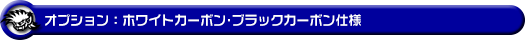大型チャンバー型パワーエアクリーナーKit オプション：ホワイトカーボン・ブラックカーボン仕様