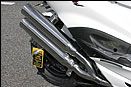 WirusWin Photo Gallery：Cygnus X Type 1 VIP Ver. - 07