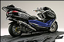 WirusWin Photo Gallery：4D9 Majesty250 Ver.1 - 04