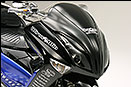 WirusWin Photo Gallery：4D9 Majesty250 Ver.1 - 10