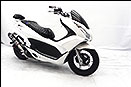 WirusWin Photo Gallery：PCX150 - 02