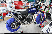 WirusWin ape100＋野澤選手